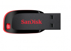 Sandisk USB Flash Pendrive 8gb